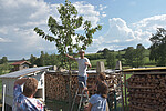 Logo Frühjahrs-Schnittkurs in Hauzenberg bei Ulbering